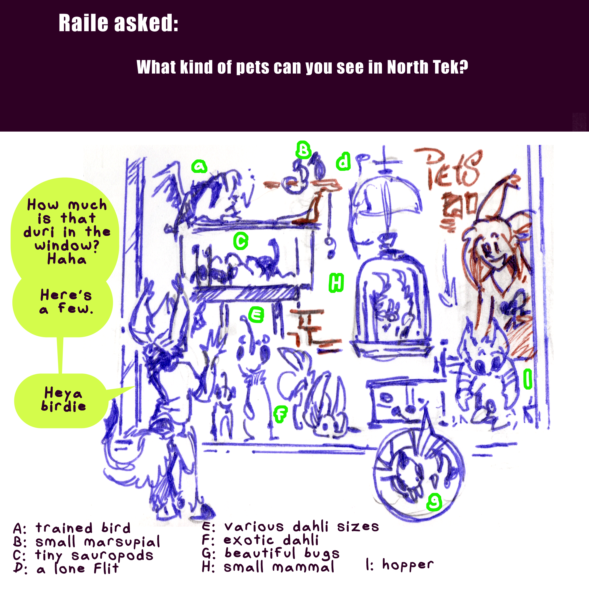 Raile asked: What kind of pets can you see in North Tek? A petshop store window is drawn in response, with Kyo standing outside looking in and waving at the most common Hekshanian pet, a dahli. How much is that duri in the window? He jokes. There's a few. Heya birdie. Inside the shop where a mother and her child are shopping are an assortment of creatures briefly labeled. clockwise from top right down is a hopper - a small jumping critter that the mom and kid can fit in their hands. next to it is a tank of something small, a beautiful kind of bug. a tall eared fluffy tailed little critter crouches cutely nearby, this is an exotic dahli. beside it are the regular dahli, in various sizes - a sort of cervine except if the head was replaced with a mouse with a probiscus. next is a tank of small sauropods in a herd. an exotic but indistinct bird perches atop the tank, and a little wood rack has some palm-sized marsupial creatures. a sole Flit sits atop a hanging cage in which small mammals with luxious tails scurry. Feel free to inquire for more detail abt each...
